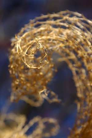 Grass No. 2